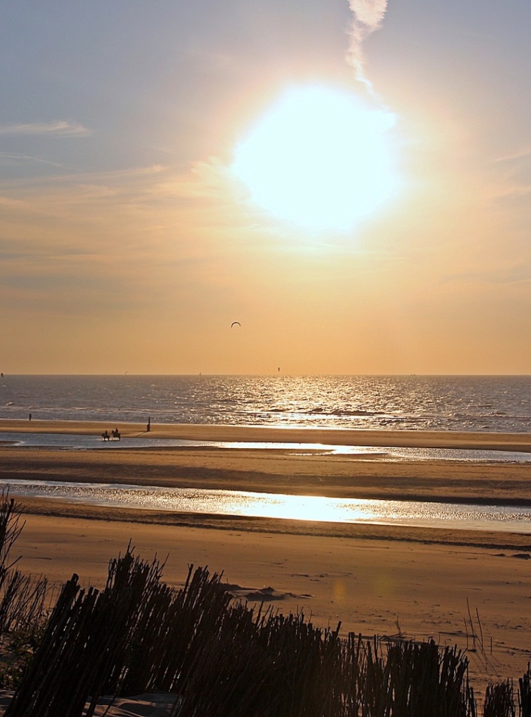 fotograaf Wassenaar