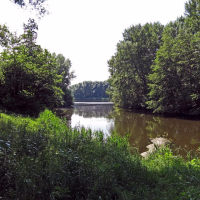 Fotograaf inhuren Wester park Zoetermeer